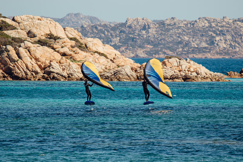 Aviator Wing Action 3